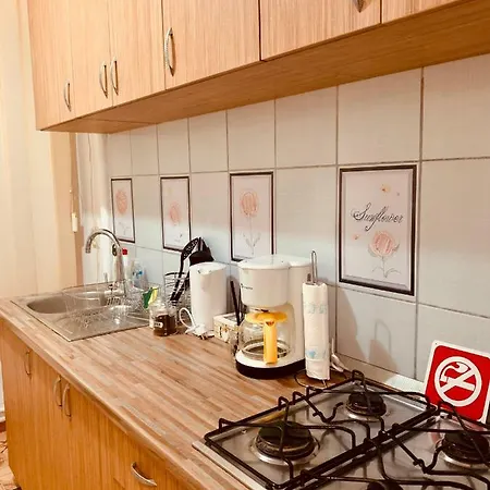 Apartment Ultracentral With All You Need: Wifi, Tv, Ac, Washer, Coffe Timisoara