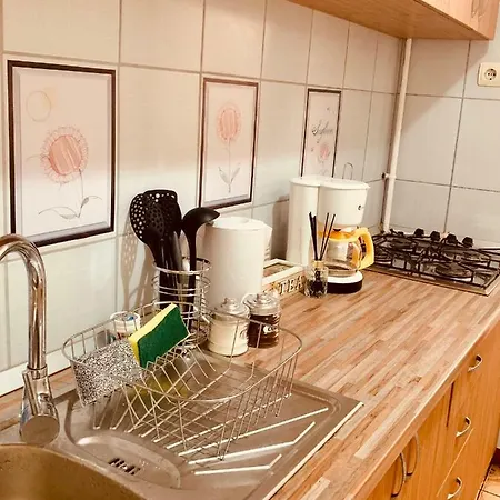 Apartment Ultracentral With All You Need: Wifi, Tv, Ac, Washer, Coffe Timisoara