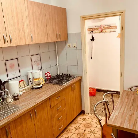Apartment Ultracentral With All You Need: Wifi, Tv, Ac, Washer, Coffe Timisoara